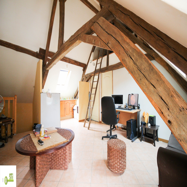 Offres de location Appartement Châtillon-Coligny 45230