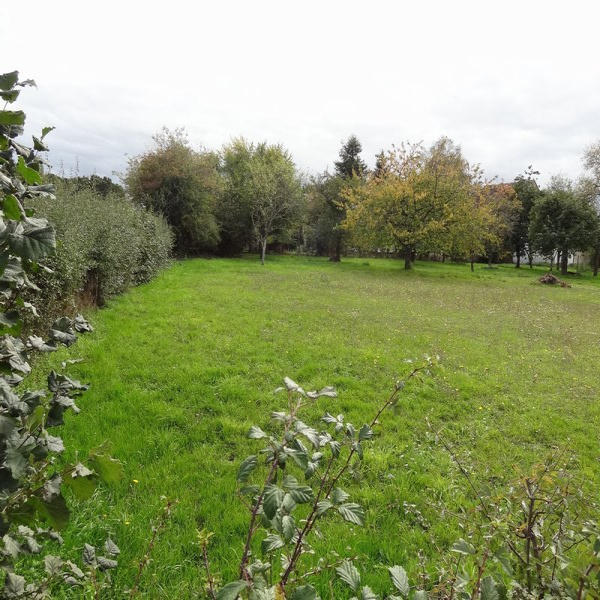 Offres de vente Terrain Sainte-Geneviève-des-Bois 45230